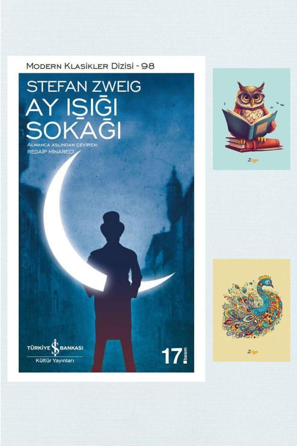 Dara Yayınları Ay Işığı Sokağı - Stefan Zweig 9786052950722 - Not Defterli Seti - Dara - Image 1