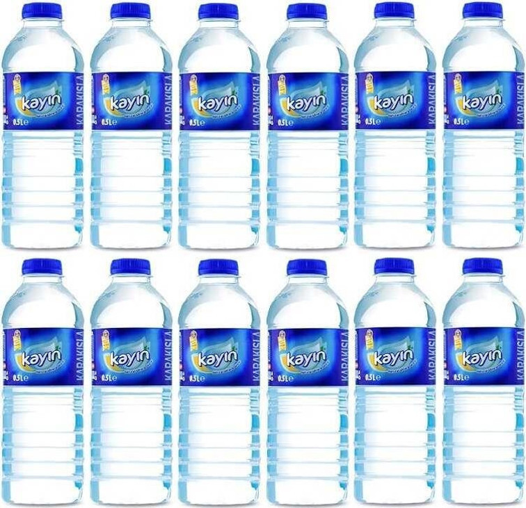 Kayın Doğal Kaynak Suyu 500 Ml X 12 Adet