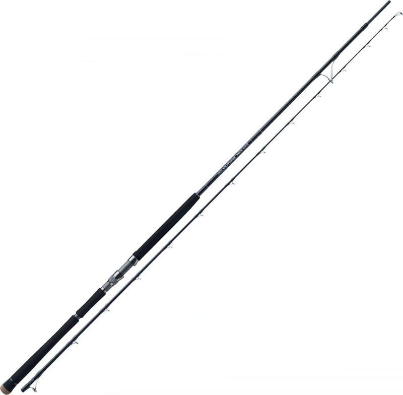 Defi Muthos Sonio 100M (RG) 305cm 10-100gr Shore Jigging Kamış