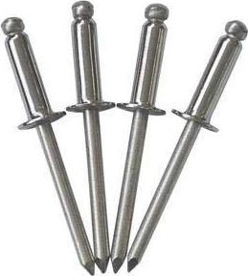 Pop perçin. Paslanmaz çelik 4.8x13 mm
