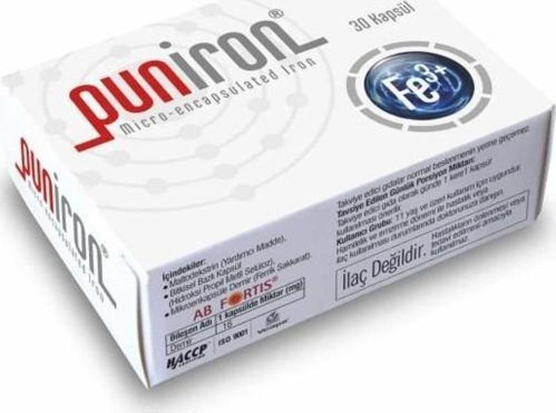 Puniron ® Mikroenkapsüle Demir Minerali