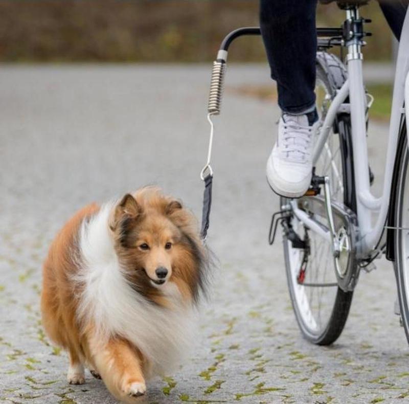 Bisiklet İçin Köpek Yürütme Aparatı S-M