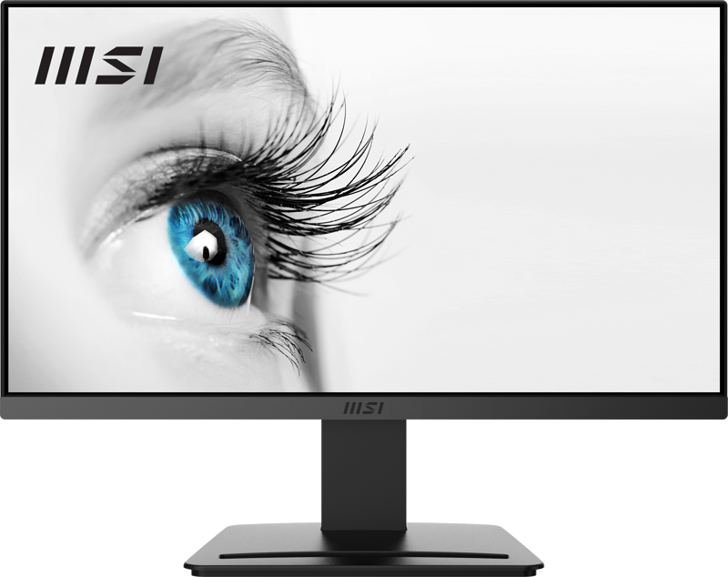 21.5" Pro Mp223 1920X1080 (Fhd) Flat Va 100Hz Antı-Glare Monitör