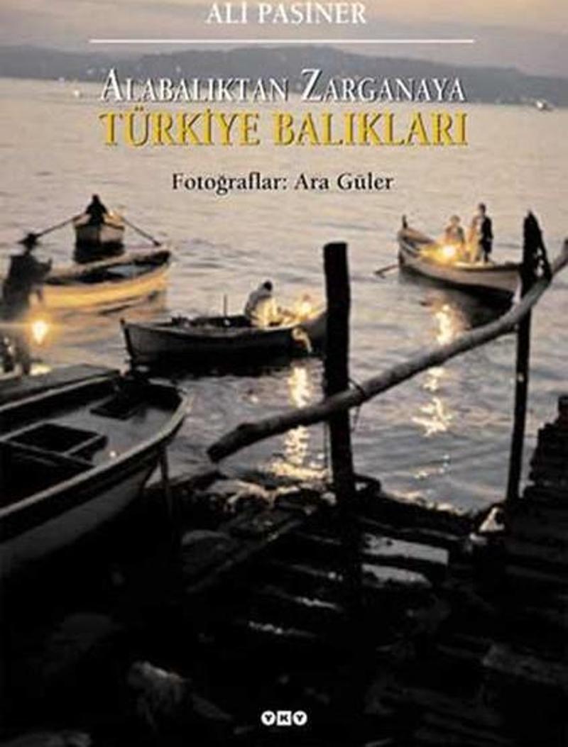 Alabalıktan Zarganaya Türkiye Balıkları