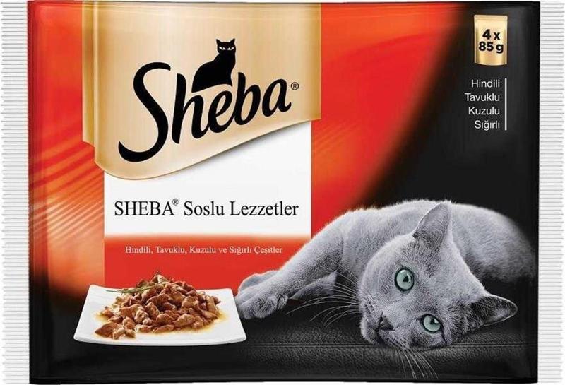 Pouch Etli Çeşitli Yetişkin Kedi Konservesi 4 x 85 Gr