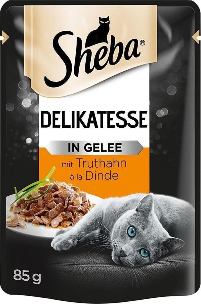 Pouch Hindili Yetişkin Kedi Konservesi 85gr