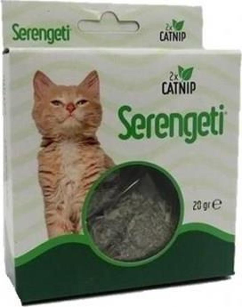 Kedi Nanesi Doğal Catnip Otu 20 gr