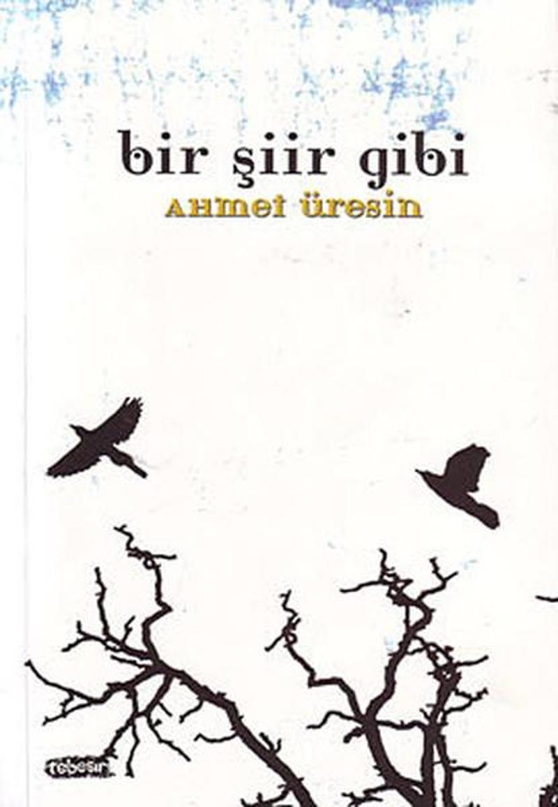 Bir Şiir Gibi