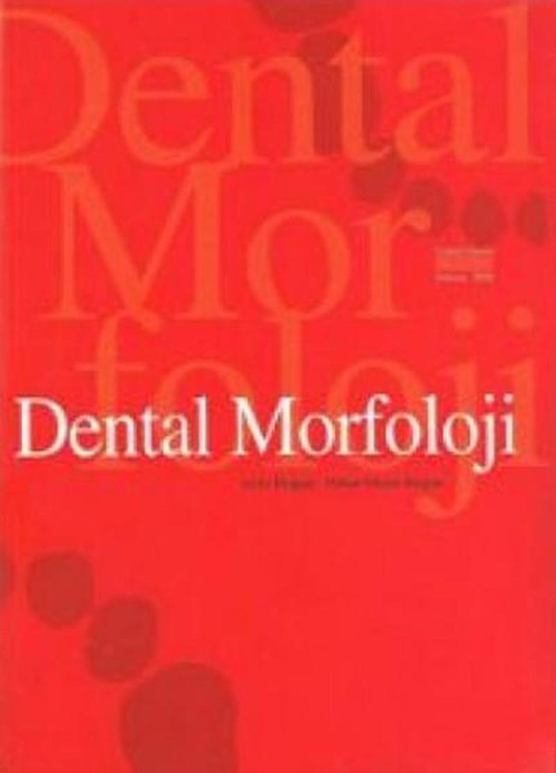 Dental Morfoloji