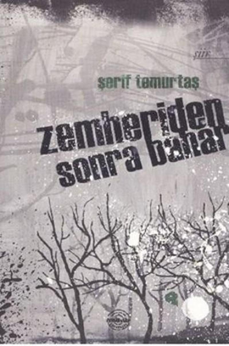 Zemheriden Sonra Bahar