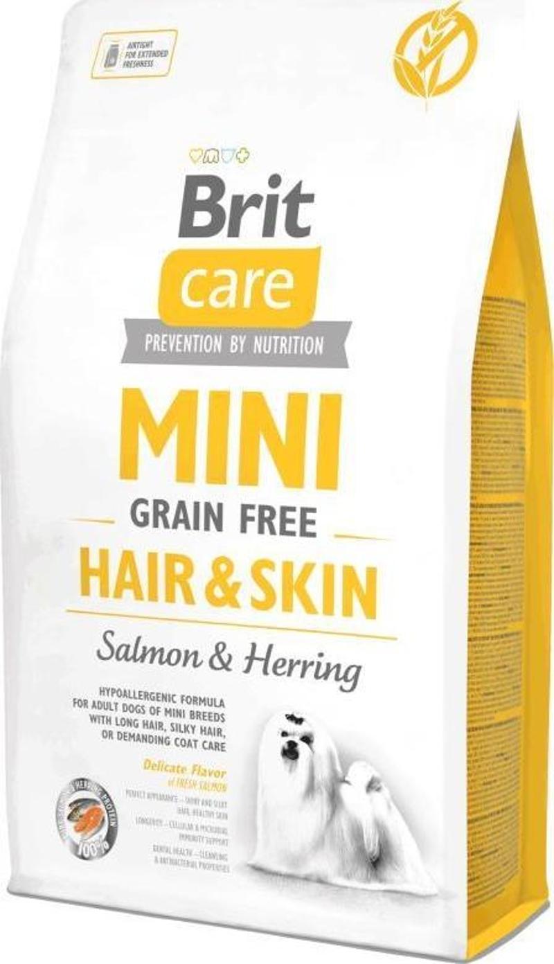 Mini Hair Skin Somonlu Tahılsız Köpek Maması 2 kg