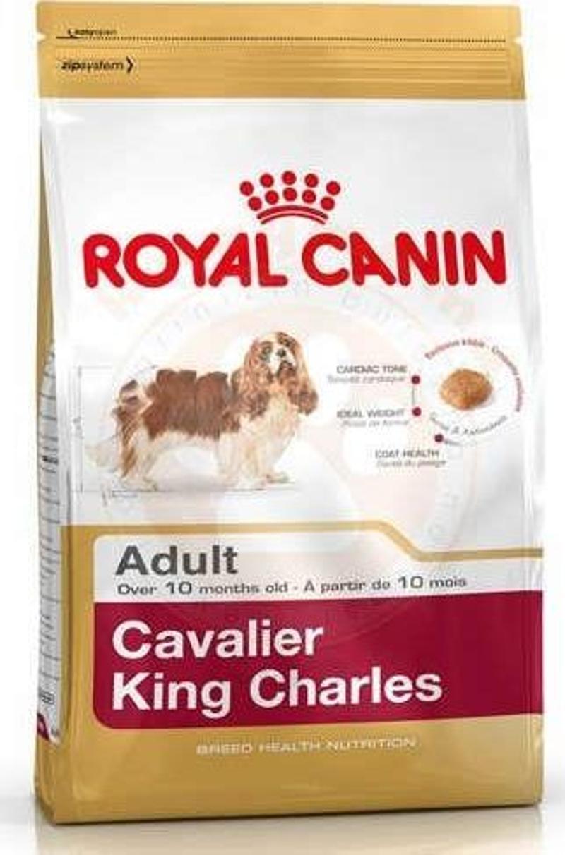 Cavalier King Charles Köpek Maması 3 Kg