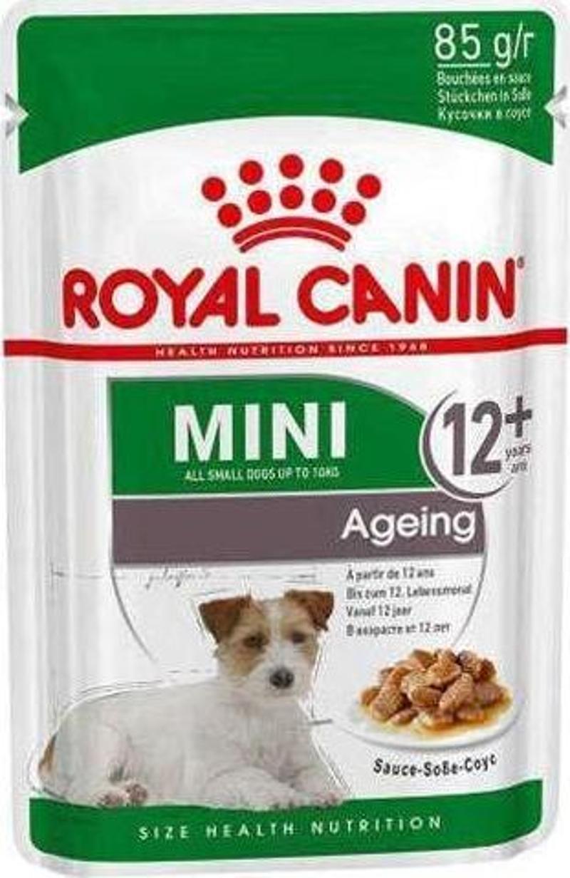 Mini Ageing Küçük Irk Yaşlı Köpek Konservesi 85 Gr