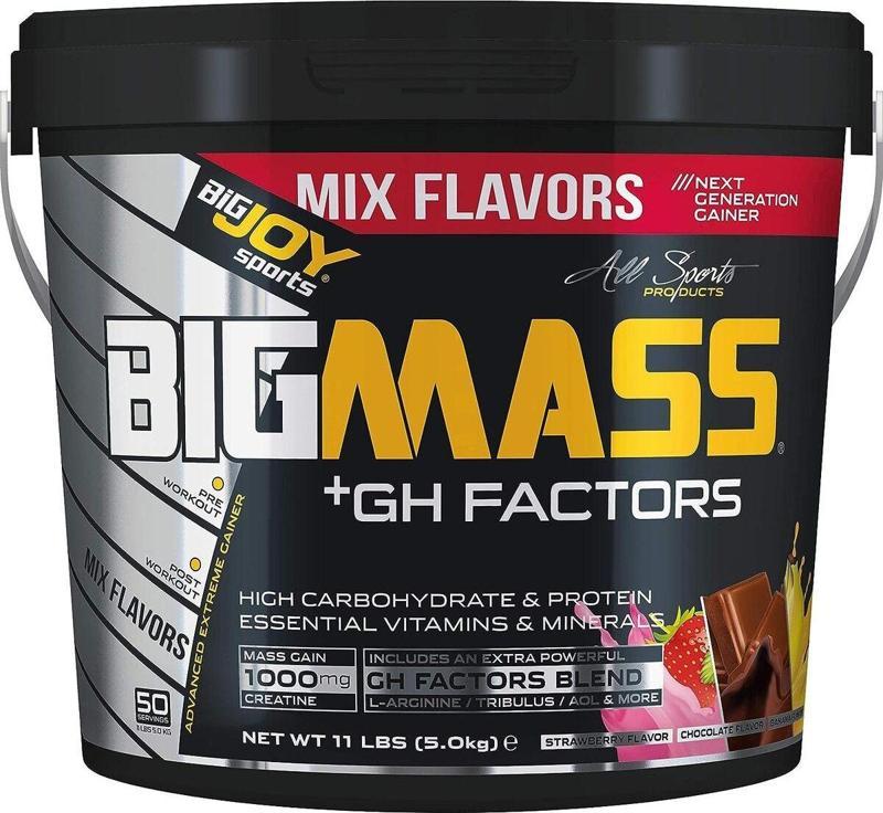 Big Joy Sports Bıgmass Gh Factors 5000 gr Mix