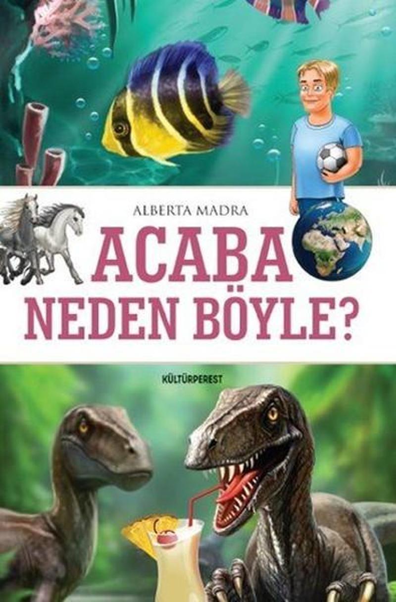 Acaba Neden Böyle?