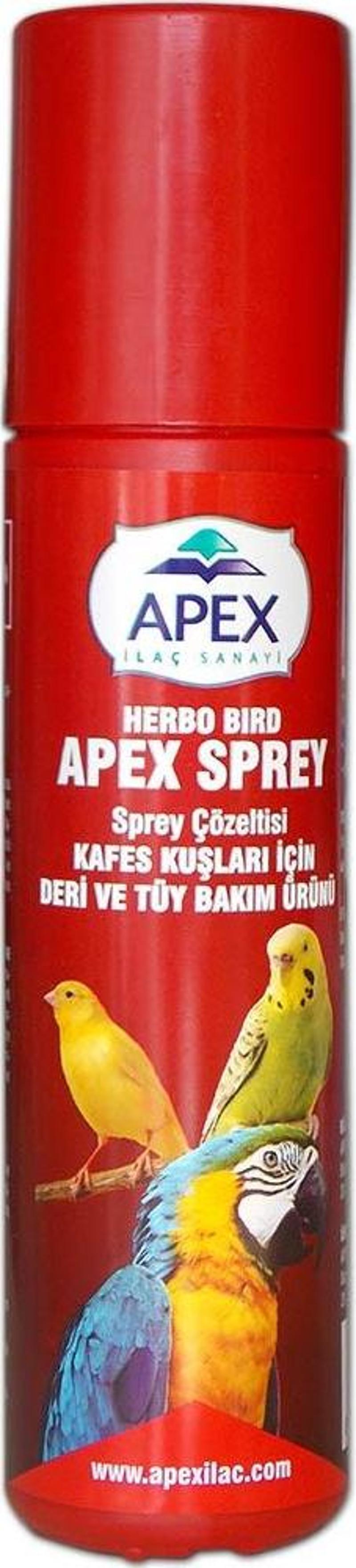 Muhabbet Kuşu  Deri ve Tüy Bakımı - Apex