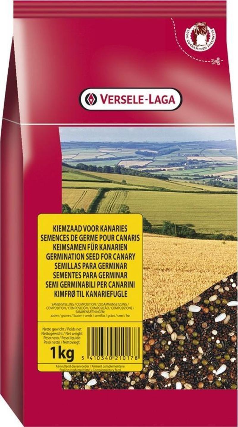 Kanarya Çimlendirme Tohumu 1 kg.