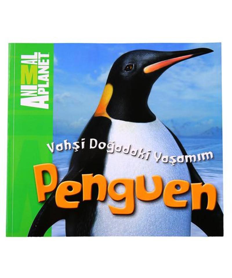 Animal Planet Doğadaki Vahşi Yaşamım Penguen