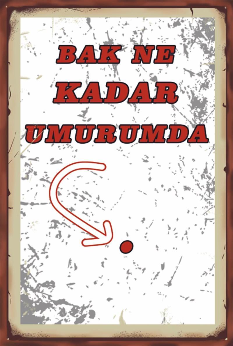 Bak Ne Kadar Umrumda Komik Sözler Retro Ahşap Poster 20x30