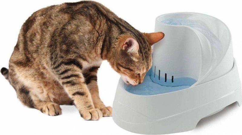 Vega Otomatik Kedi Su Kabı 2 Litre