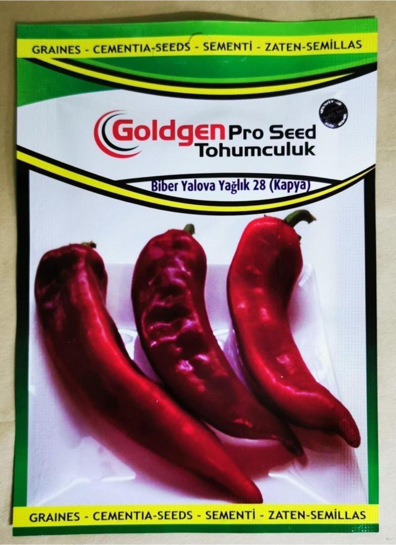 Goldgen Pro Seed Biber Tohumu (Kapaya Yağlık)