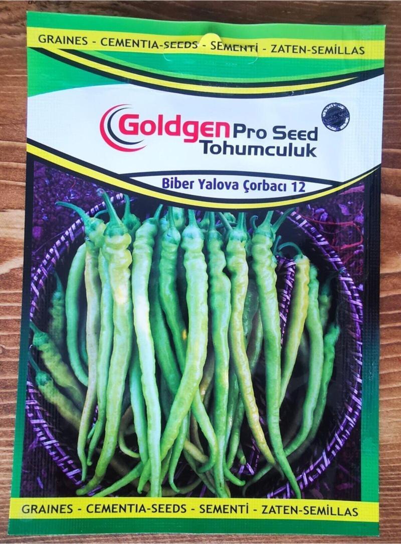 Goldgen Pro Seed Biber Yalova Çorbacı