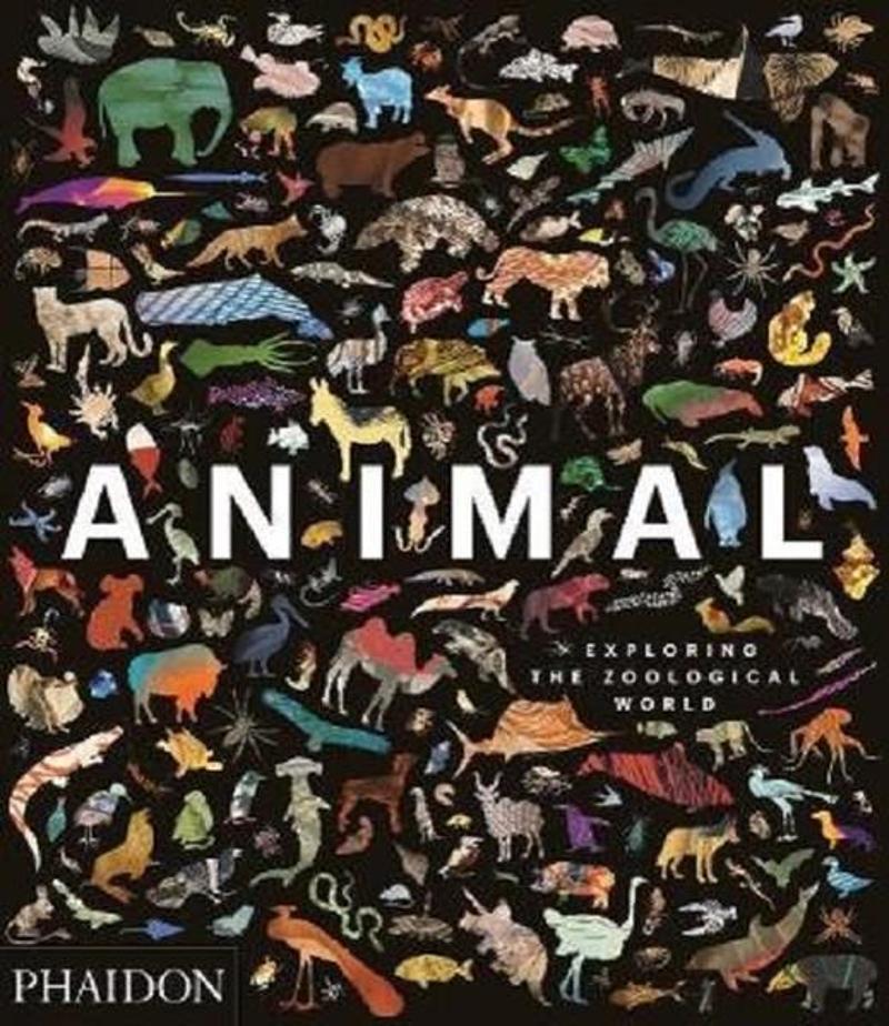 Animal: Exploring the Zoological World 