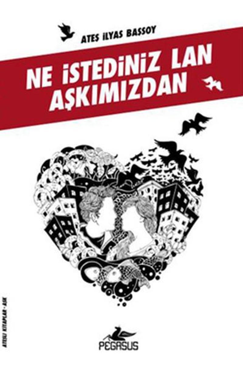 Ne İstediniz Lan Aşkımızdan (Ateşli Kitaplar: Aşk)