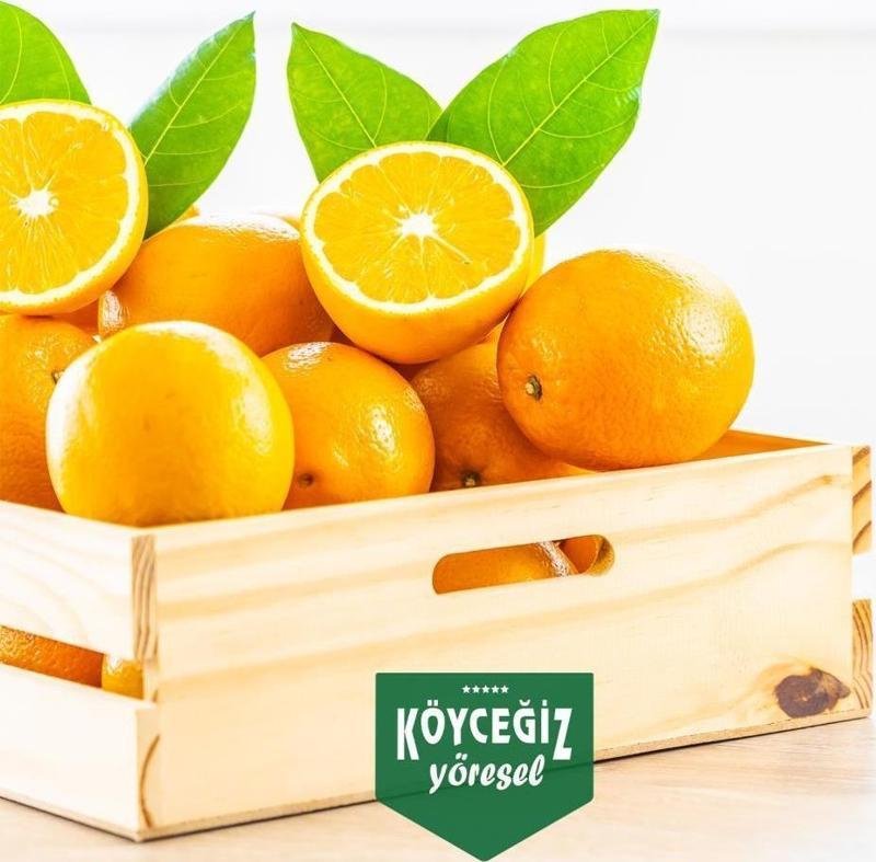 Kb Köyceğiz Yöresel Köyceğiz Portakalı 8 Kg