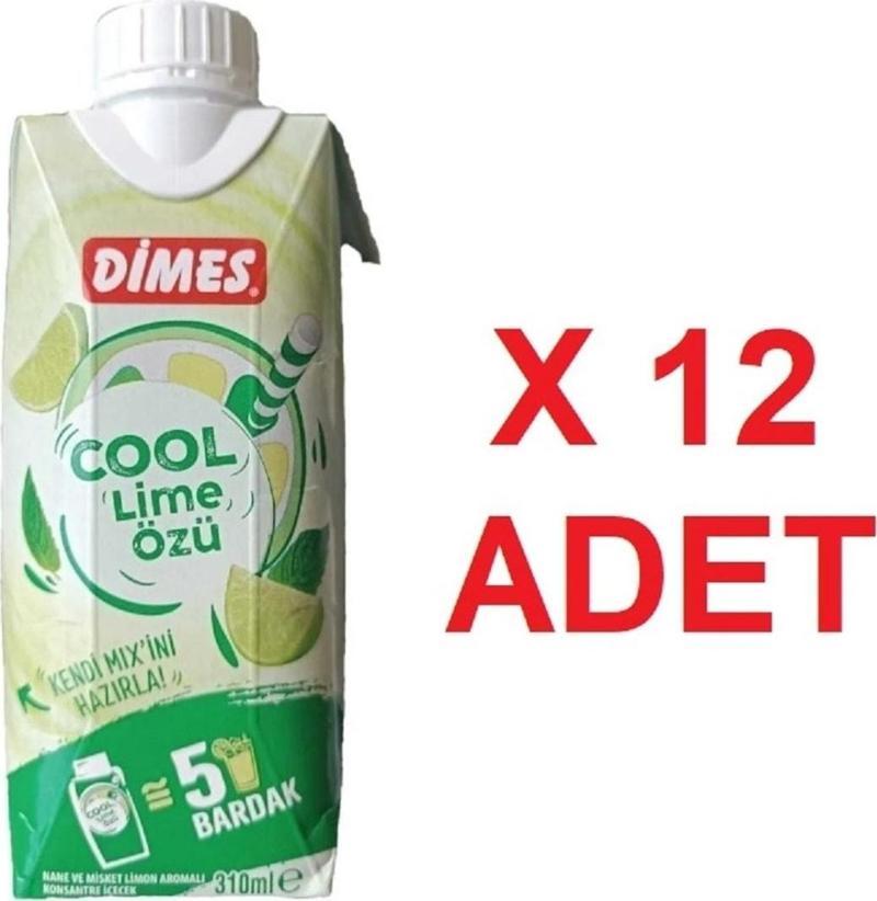 Cool Lime Özü 310 ml X 12 Adet / Cool Lime Şurubu