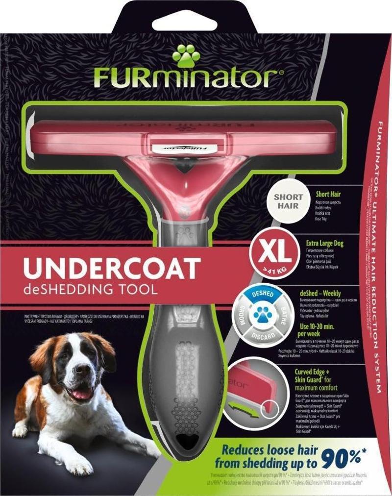 Shorthair Gıant Dog