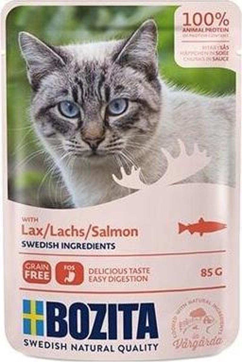 Pouch Somon Balıklı Tahılsız Yetişkin Konserve Kedi Maması 85 Gr