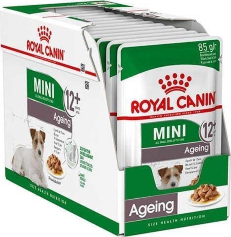 Shn Mini Ageing Konserve Köpek Maması 12 X 85 Gr