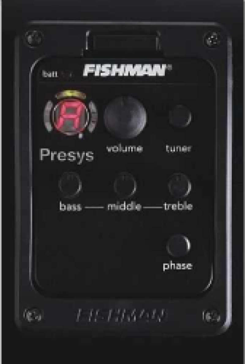 FISHMAN PSY101-N40  EKOLAYZER