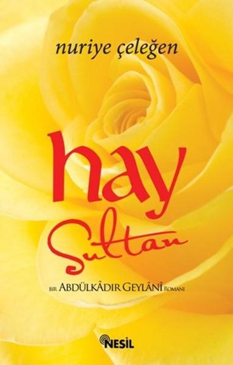 Hay Sultan - Bir Abdülkadir Geylani Romanı