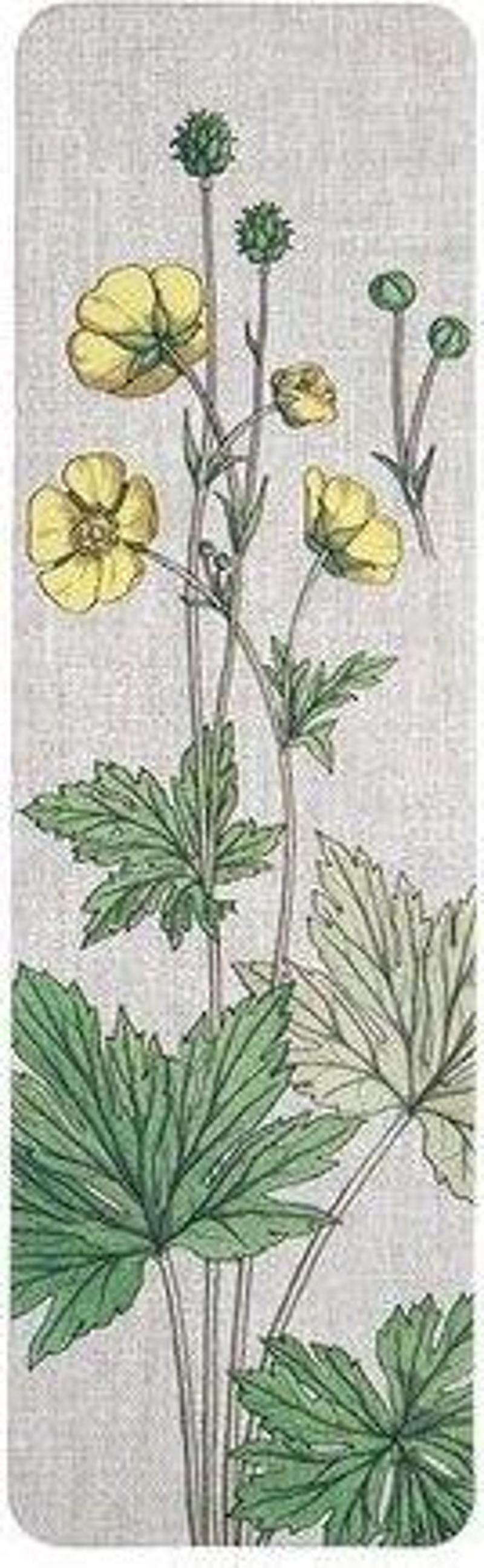 Muusmarks Flower buttercup 4,5x15 Ayraç