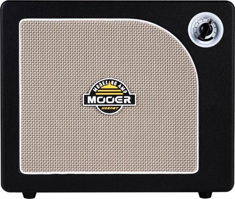 DH06 Hornet 30W Combo Gitar Ampli