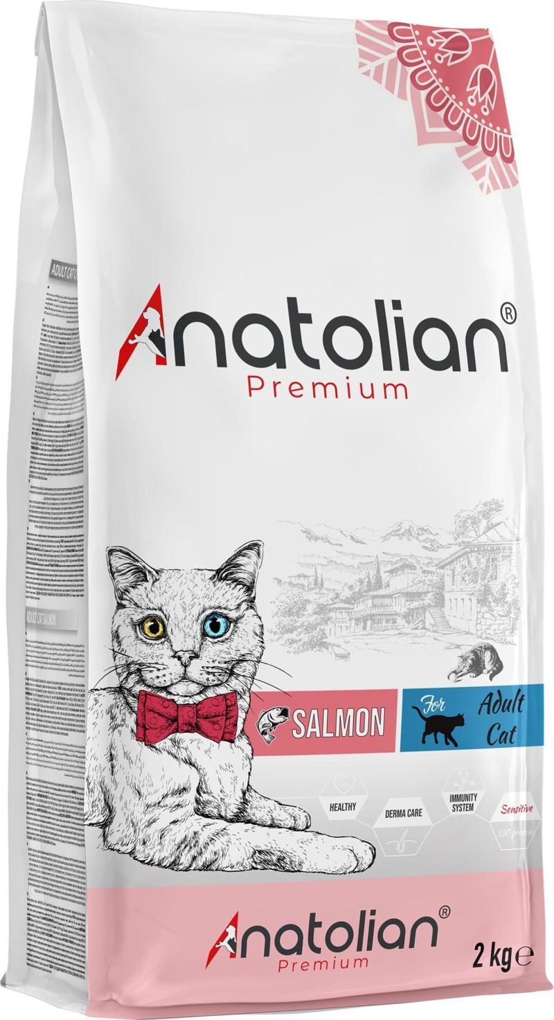 Adult Salmon Somonlu Yetişkin Kedi Maması 2 Kg