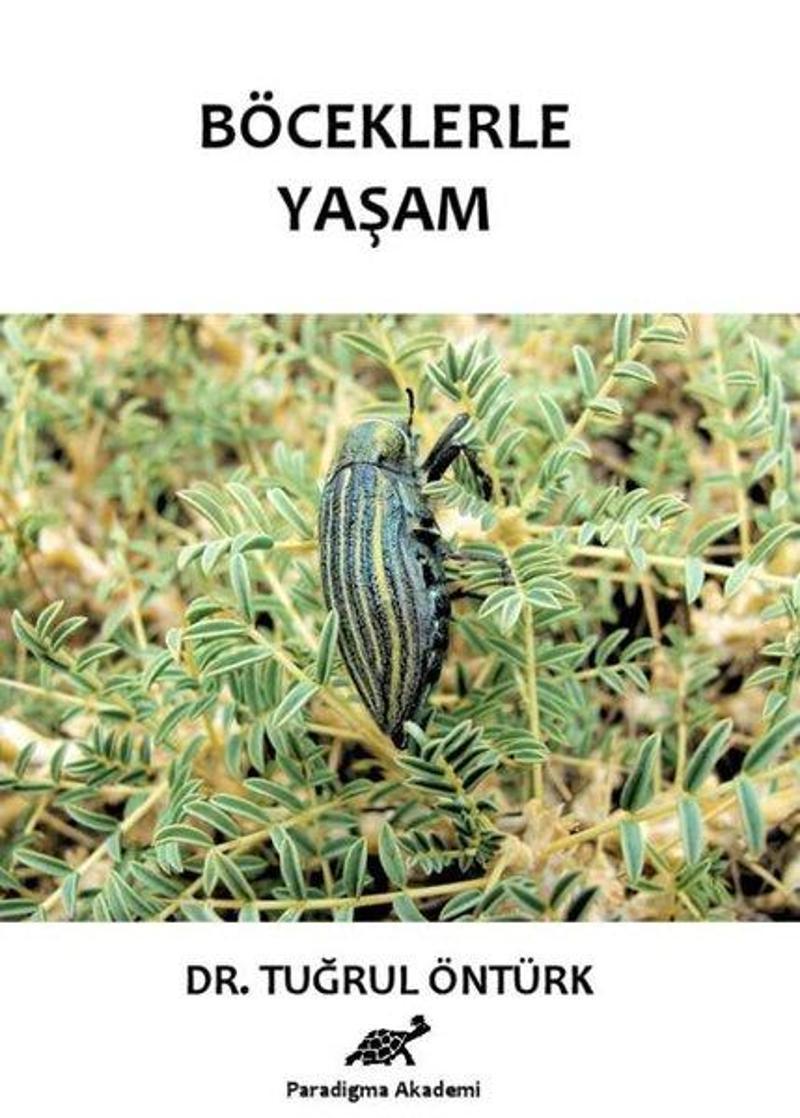 Böceklerde Yaşam