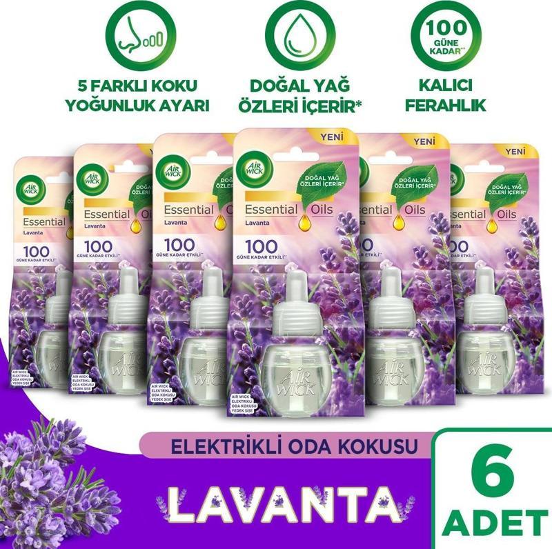 Elektrikli Oda Kokusu Yedek Şişe Lavanta x 6