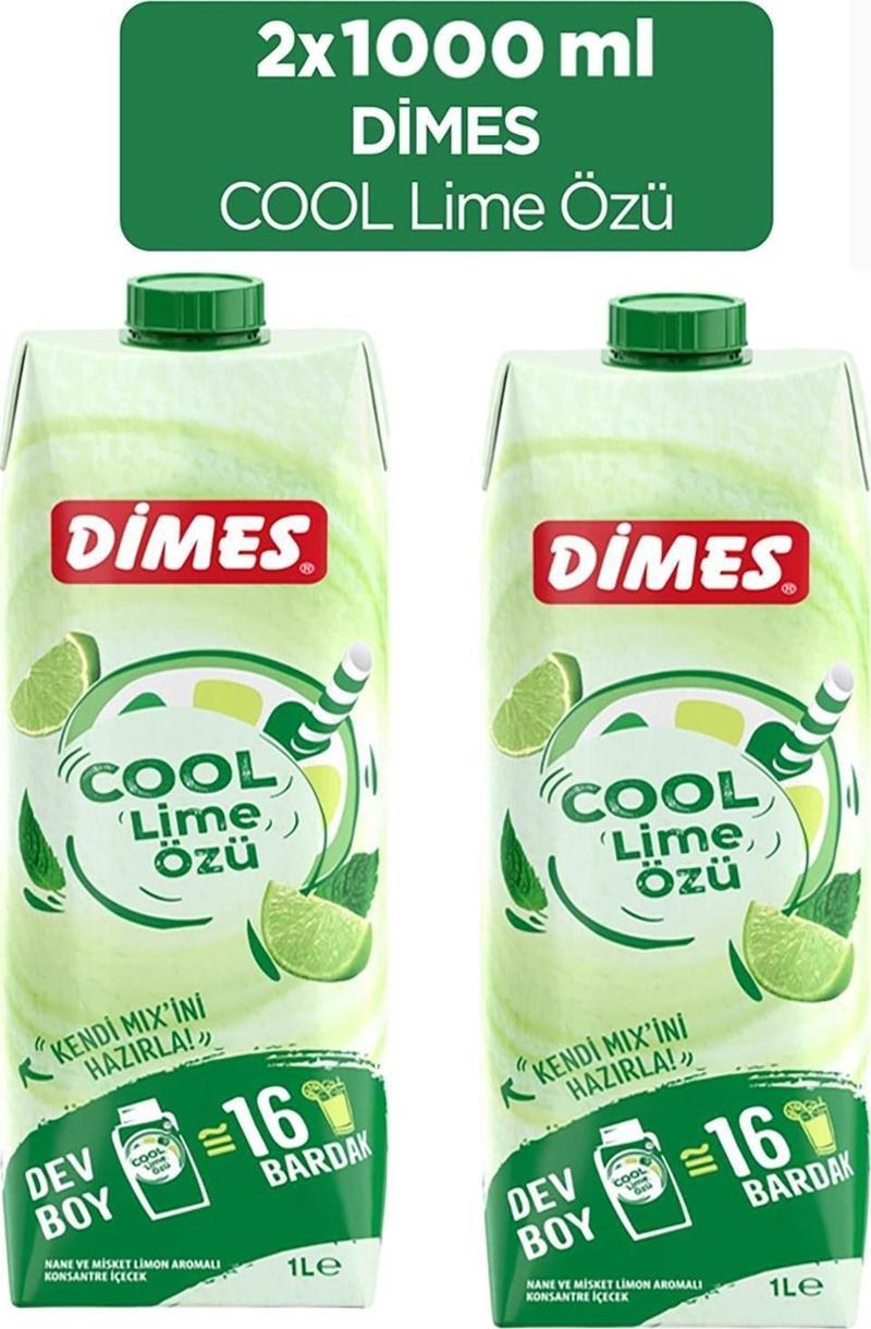 Cool Lime Özü 1 lt 2'li