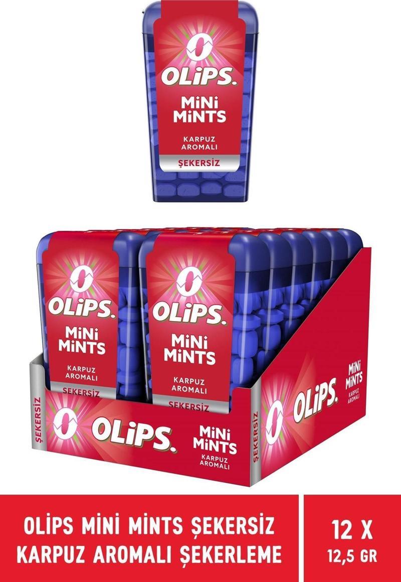 Mini Mints Şekersiz Karpuz Aromalı Şekerleme 12,5 gr - 12 Adet