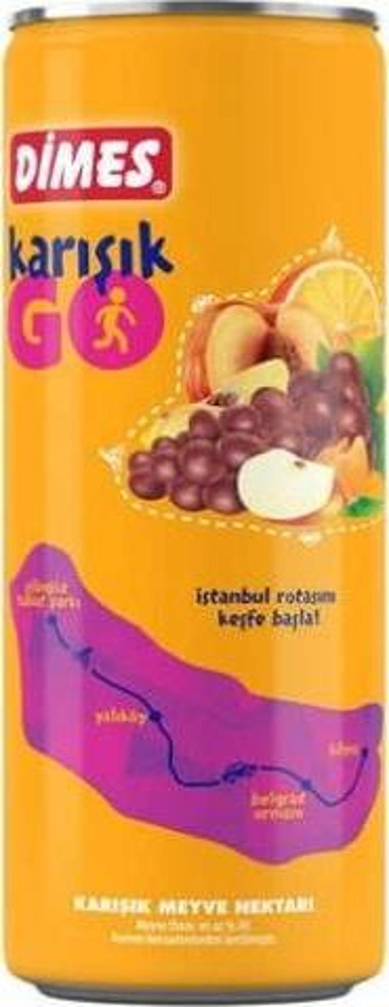 Go Karışık Meyve Suyu 250 ml.