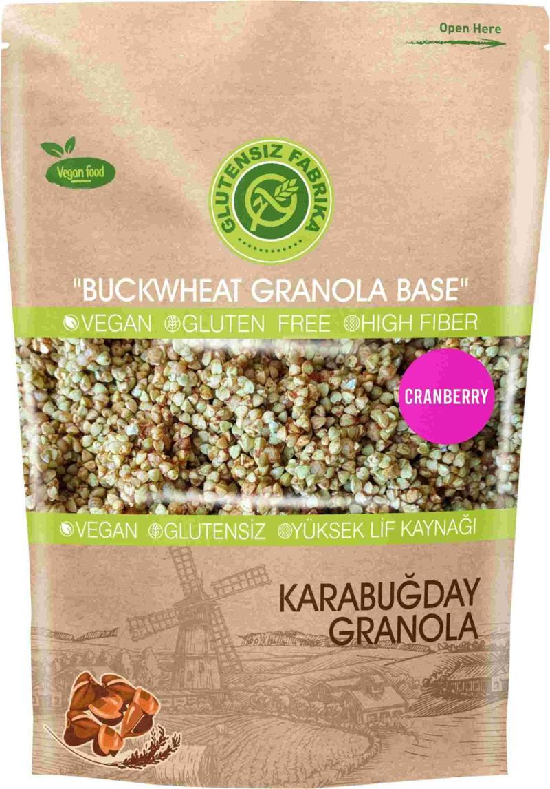 GLUTENSİZ FABRİKA YULAF & KARABUĞDAY GRANOLA 300 GRAM (CRANBERRY'Lİ)