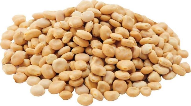 Doğal Acı Bakla Tohumu 1.Kalite Yahudi Baklası Termiye Lupen 50 gr