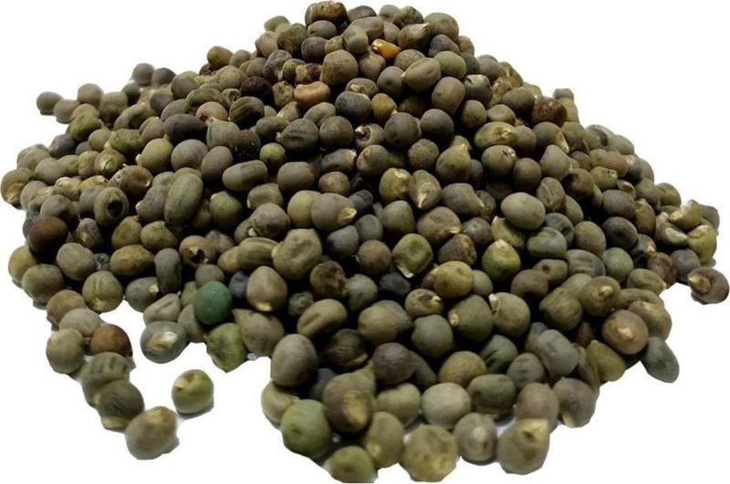 Doğal Saf Tane Bamya Tohumu  100 gr