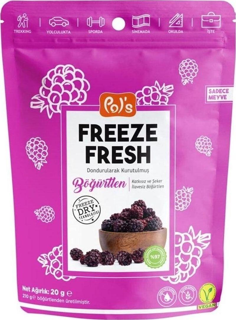 Coco Store Freeze Fresh Dried Böğürtlen