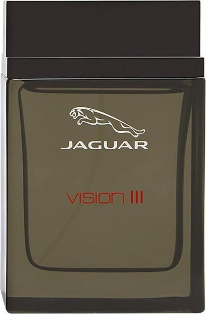 Vision III EDT 100 ml Erkek Parfümü