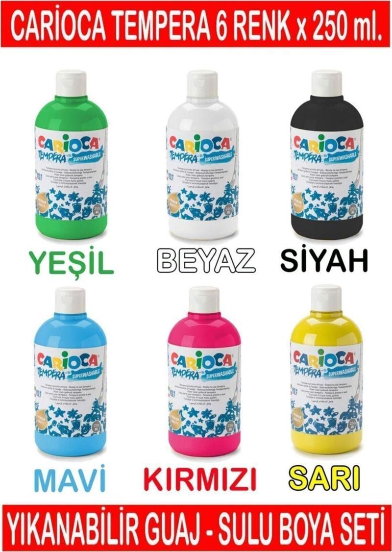 Tempera Yıkanabilir Sulu Boya Seti 6 Renk X 250 ml.