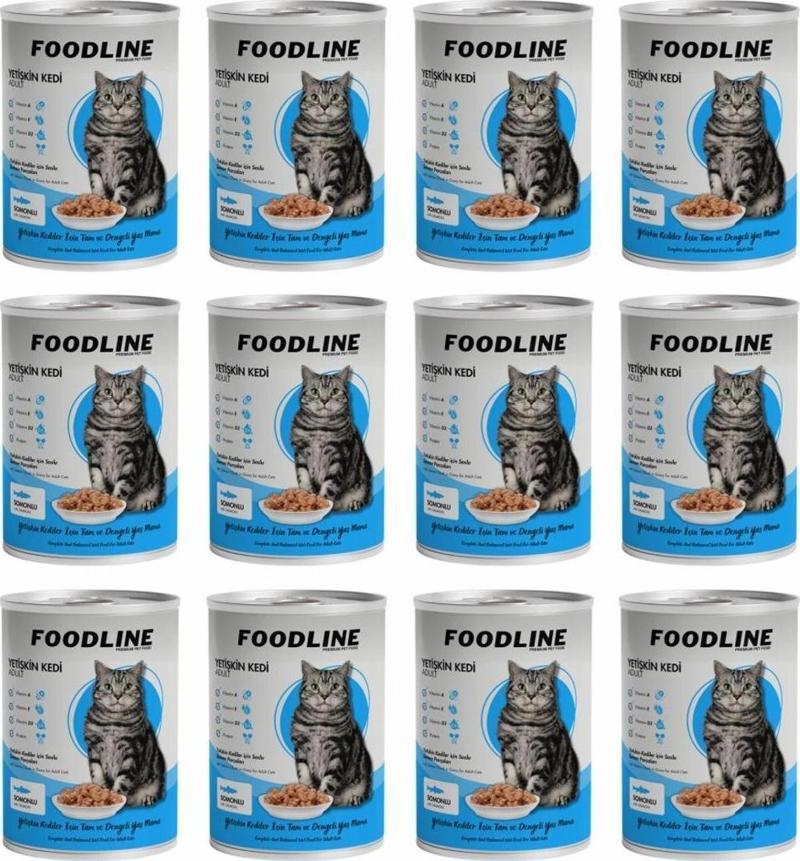 Somonlu Yetişkin Kedi Konservesi 400 Gr x 12 Adet